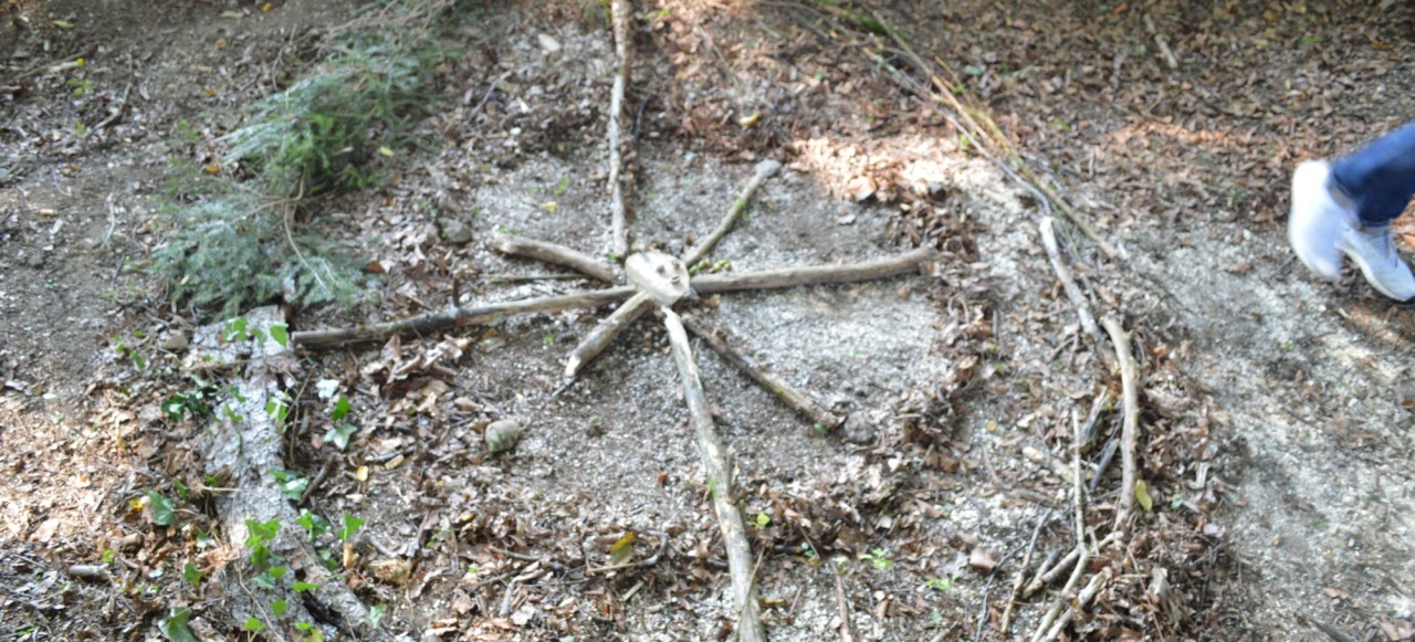 Waldtherapie - Klinik Prof. Schedel